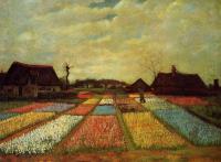 Gogh, Vincent van - Bulb Fields